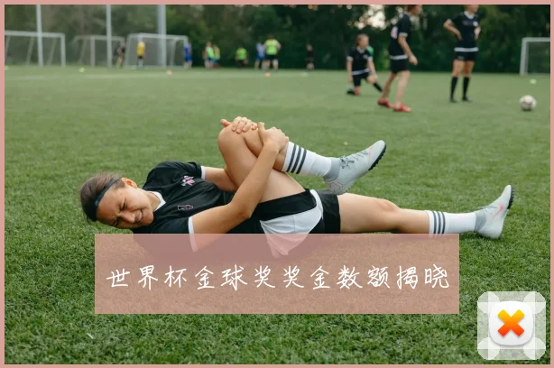世界杯金球奖奖金数额揭晓