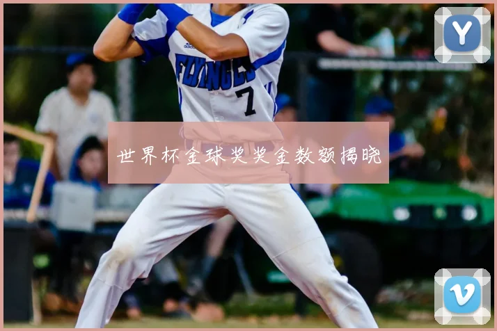 世界杯金球奖奖金数额揭晓