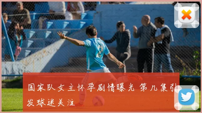 国家队女主怀孕剧情曝光 第几集引发球迷关注